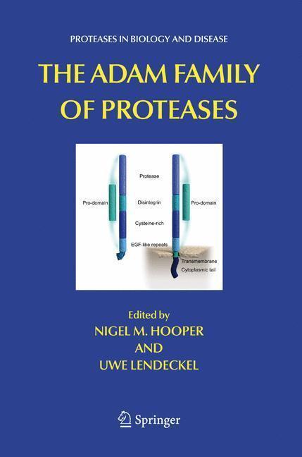 The ADAM Family of Proteases 