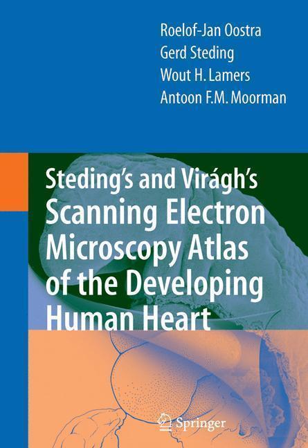 Steding's and Virágh's Scanning Electron Microscopy Atlas of the Developing Human Heart 