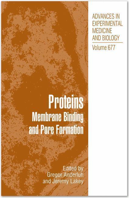 Proteins Membrane Binding and Pore Formation
