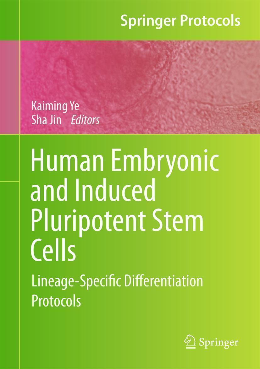 Human Embryonic and Induced Pluripotent Stem Cells Lineage-Specific Differentiation Protocols