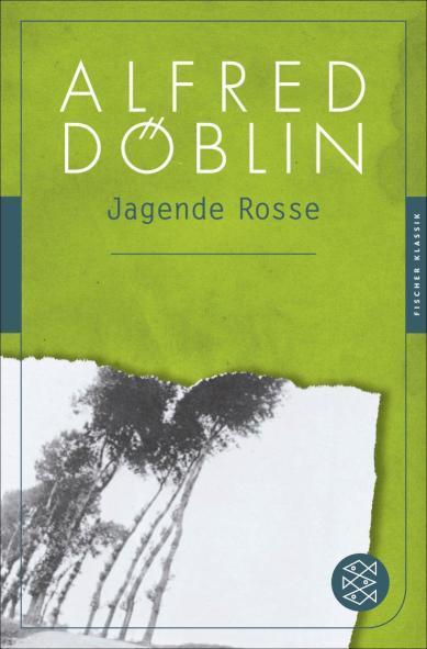 Jagende Rosse Roman