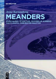 Meanders Sturm Global Attractors, Seaweed Lie Algebras and Classical Yang-Baxter Equation
