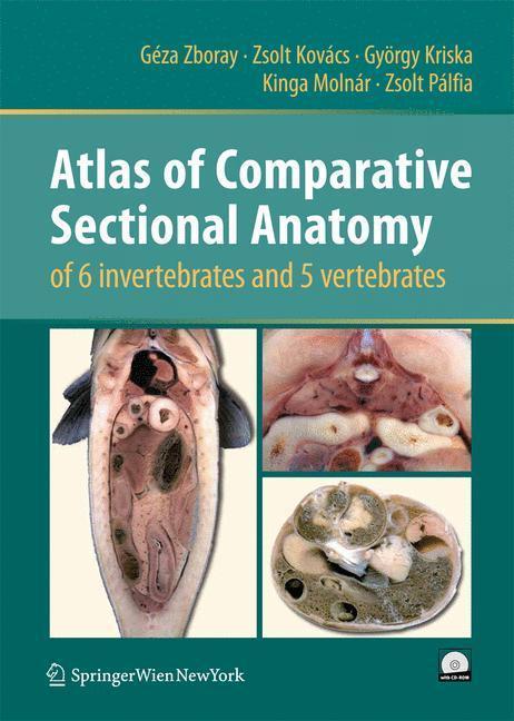 Atlas of Comparative Sectional Anatomy of 6 invertebrates and 5 vertebrates 