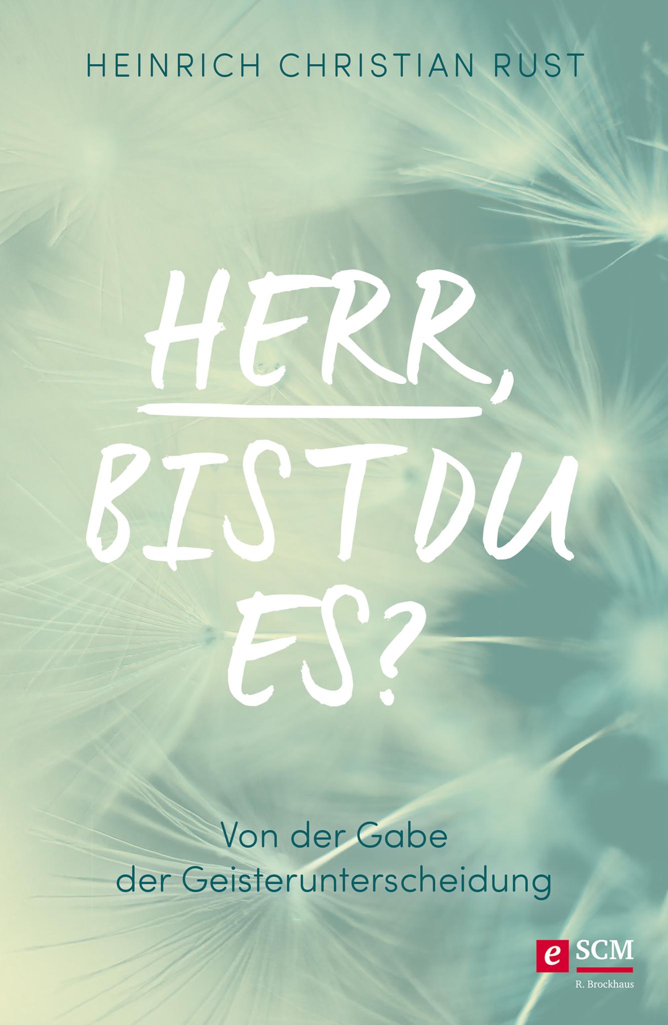 Herr, bist du es? Von der Gabe der Geisterunterscheidung