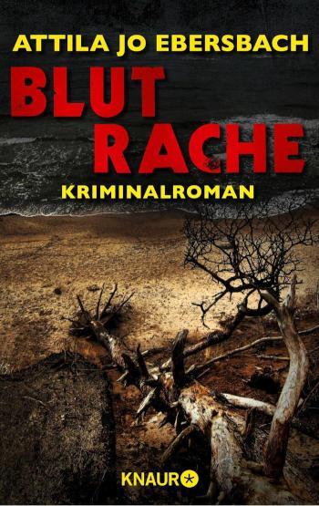 Blutrache. Ein Edersee-Krimi Kriminalroman