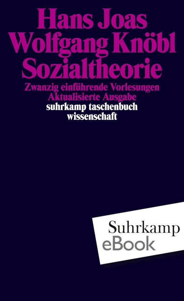 Sozialtheorie Zwanzig einführende Vorlesungen