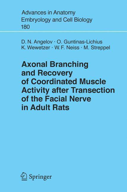 Axonal Branching and Recovery of Coordinated Muscle Activity after Transsection of the Facial Nerve in Adult Rats 