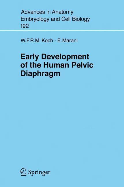 Early Development of the Human Pelvic Diaphragm 