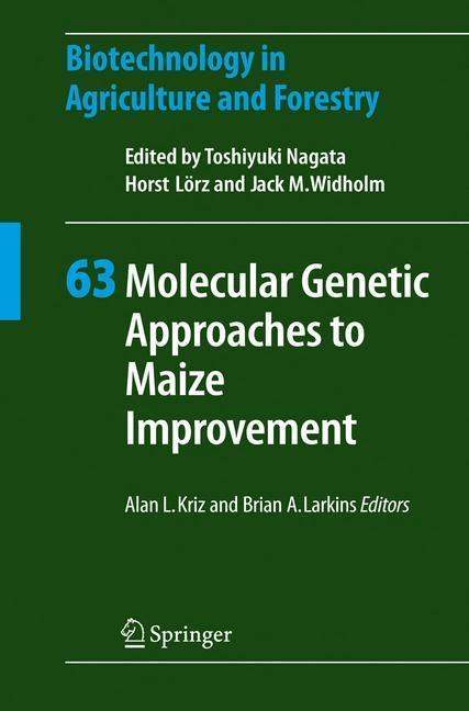 Molecular Genetic Approaches to Maize Improvement 