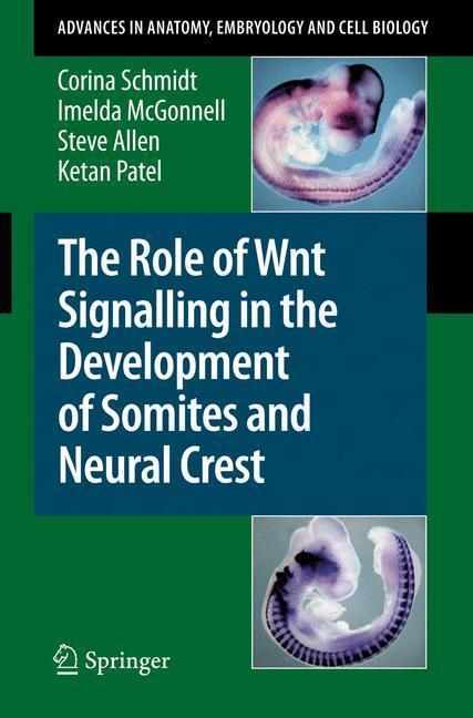 The Role of Wnt Signalling in the Development of Somites and Neural Crest 