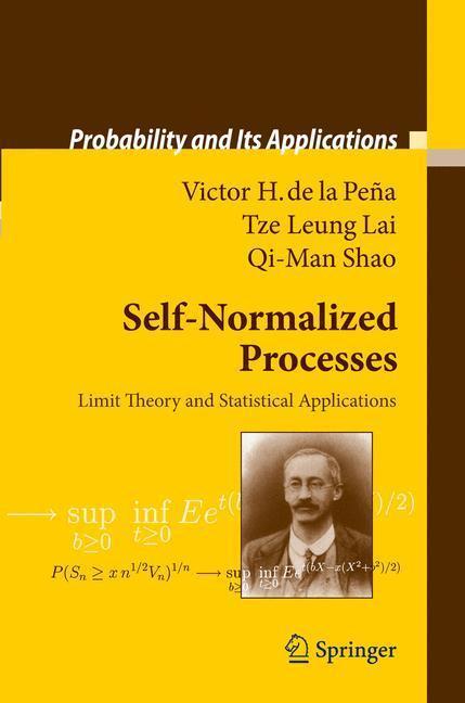 Self-Normalized Processes Limit Theory and Statistical Applications