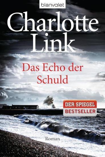 Das Echo der Schuld Kriminalroman