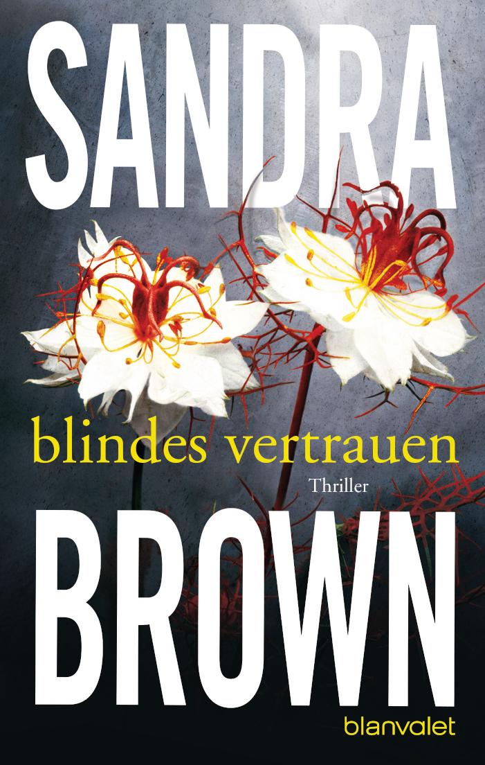 Blindes Vertrauen Roman