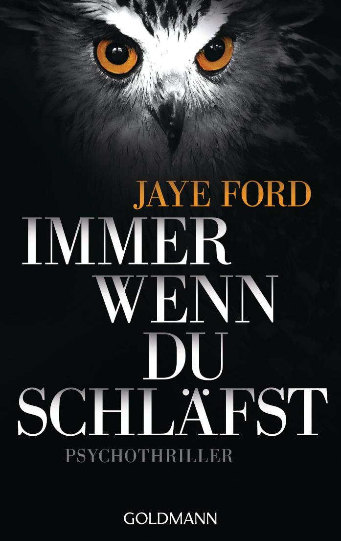 Immer wenn du schläfst Psychothriller