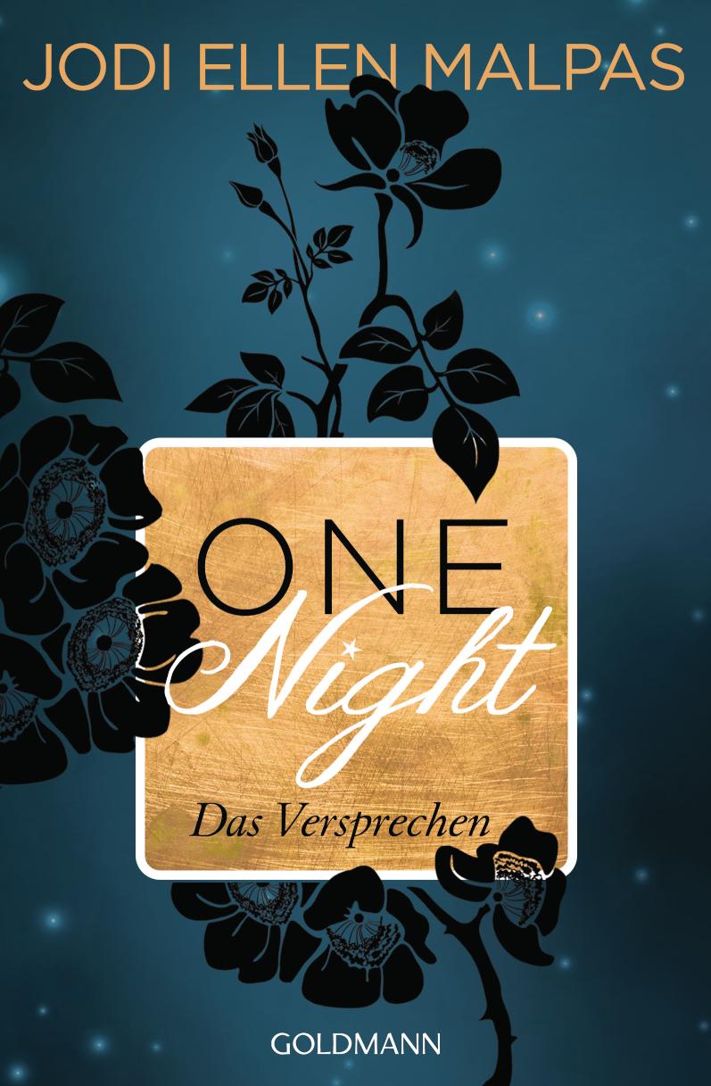 One Night - Das Versprechen Erotischer Roman