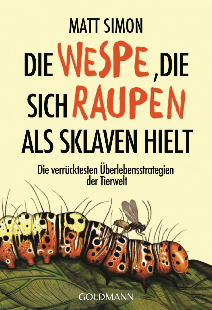 Die Wespe, die sich Raupen als Sklaven hielt Die verrücktesten Überlebensstrategien der Tierwelt