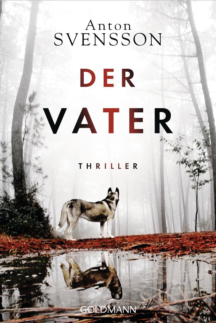 Der Vater Thriller