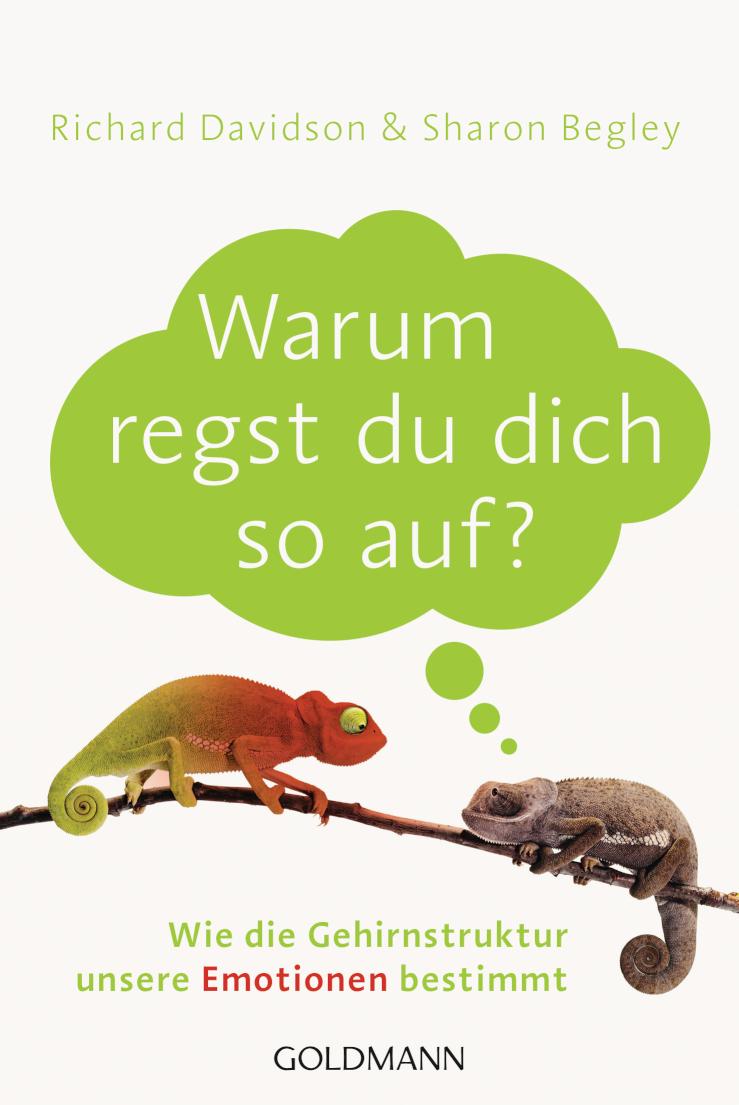 Warum regst du dich so auf? Wie die Gehirnstruktur unsere Emotionen bestimmt