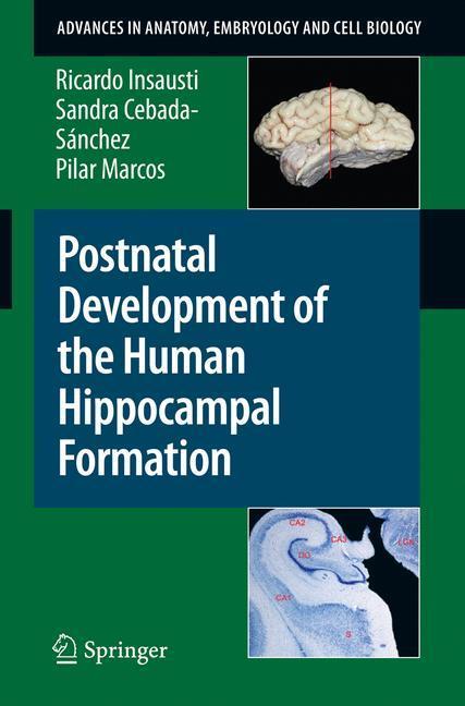 Postnatal Development of the Human Hippocampal Formation 