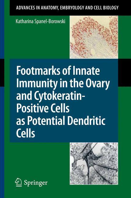 Footmarks of Innate Immunity in the Ovary and Cytokeratin-Positive Cells as Potential Dendritic Cells 