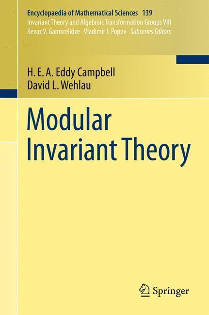 Modular Invariant Theory 