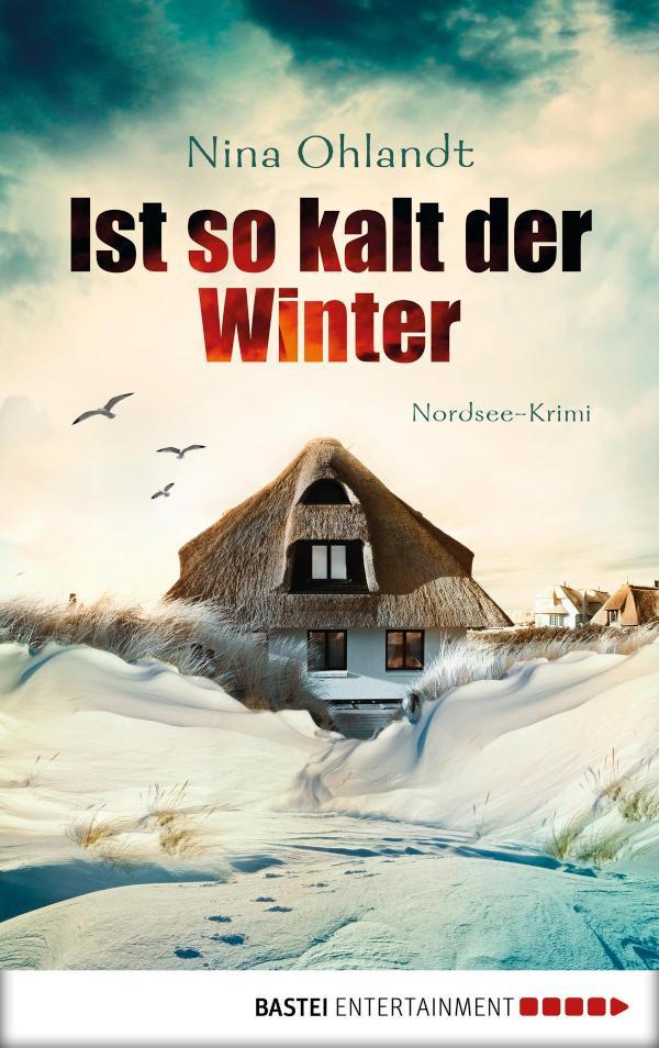 Ist so kalt der Winter Nordsee-Krimi