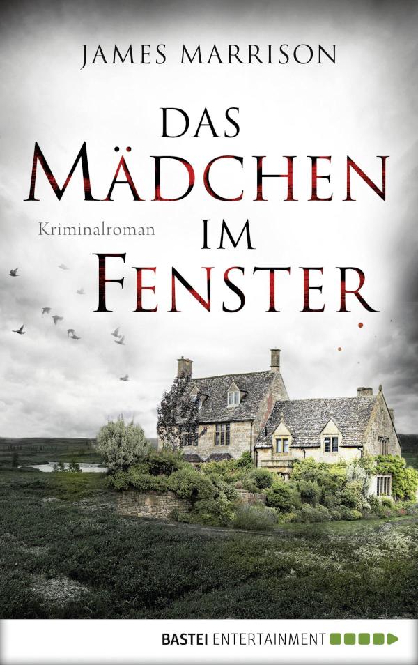 Das Mädchen im Fenster Kriminalroman