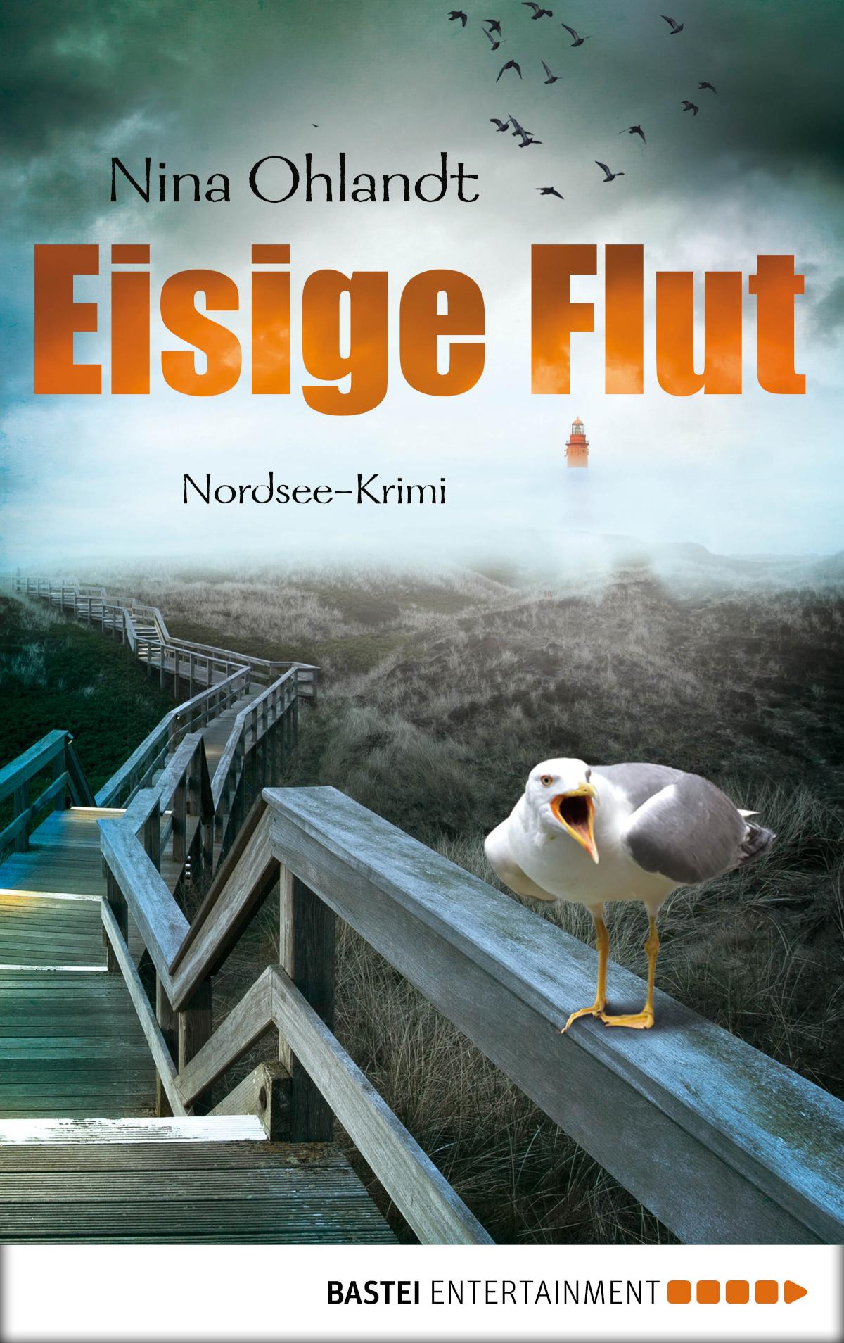 Eisige Flut Nordsee-Krimi