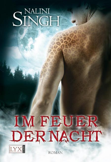 Im Feuer der Nacht 
