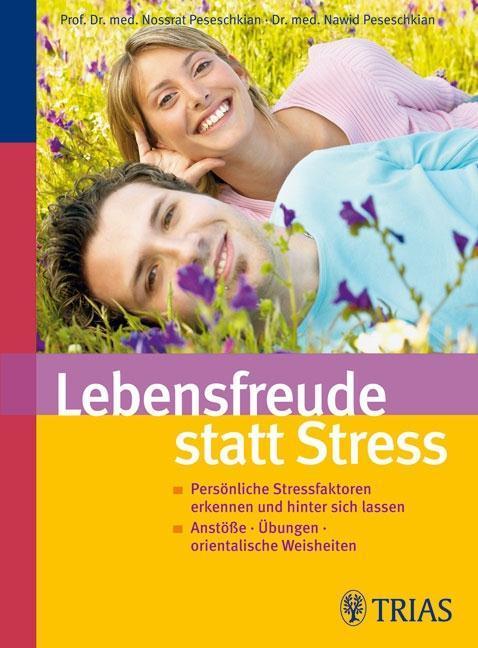Lebensfreude statt Stress Persönliche Stressfaktoren erkennen und hinter sich lassen