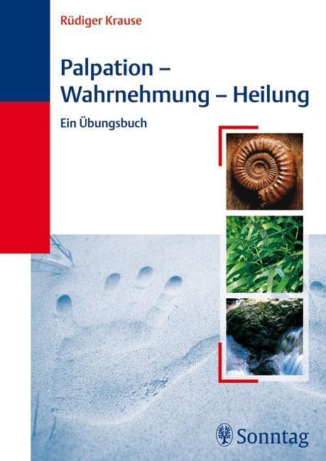 Palpation - Wahrnehmung - Heilung Ein Übungsbuch