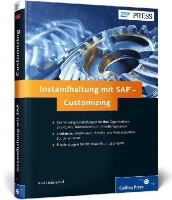 Instandhaltung mit SAP Customizing 
