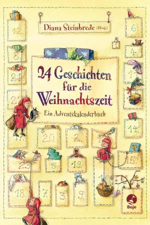 24 Geschichten für die Weihnachtszeit Ein Adventskalenderbuch