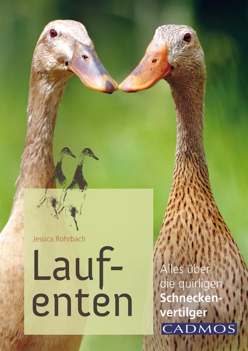 Laufenten Alles über die quirligen Schneckenfresser