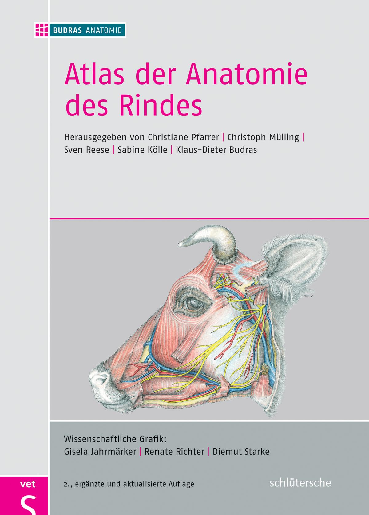 Atlas der Anatomie des Rindes Inklusive Supplement