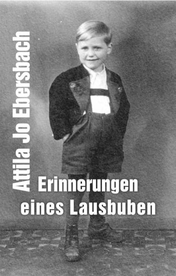 Erinnerungen eines Lausbuben 
