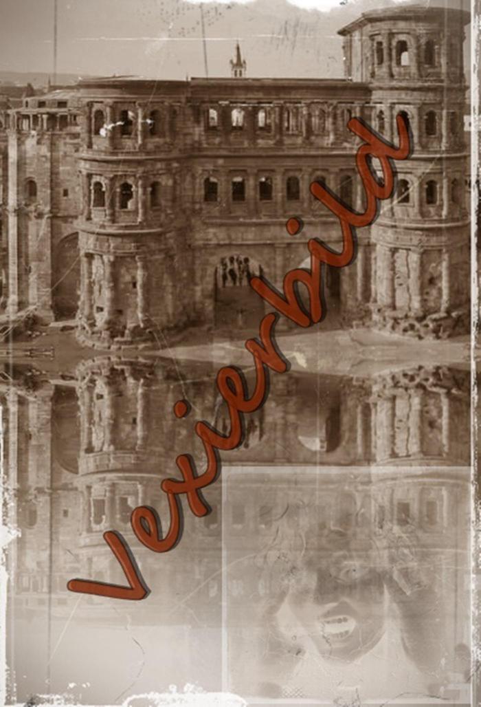 Vexierbild 