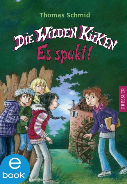 Die Wilden Küken 4. Es spukt! Band 4
