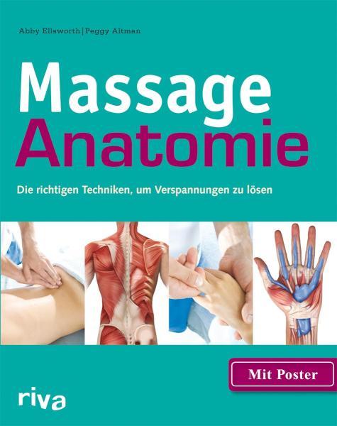 Massage-Anatomie Die richtige Techniken, um Verspannungen zu lösen