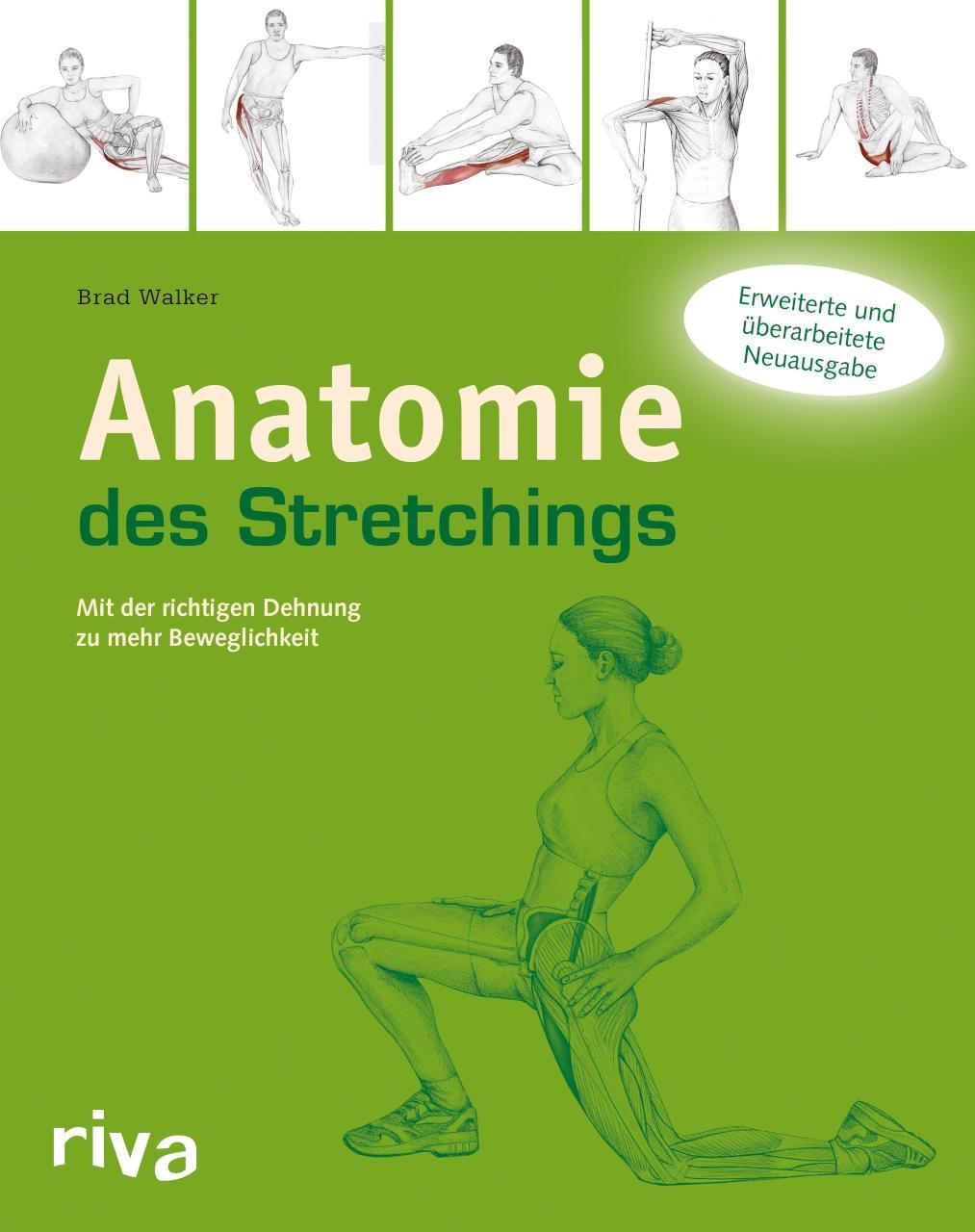Anatomie des Stretchings Mit der richtigen Dehnung zu mehr Beweglichkeit