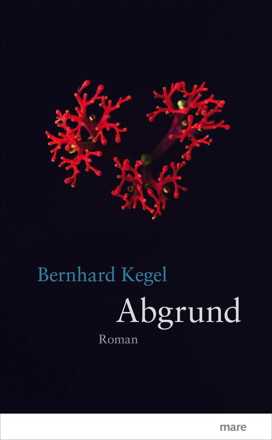 Abgrund 