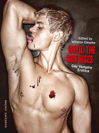 Until the Sun Rises Gay Vampire Erotica