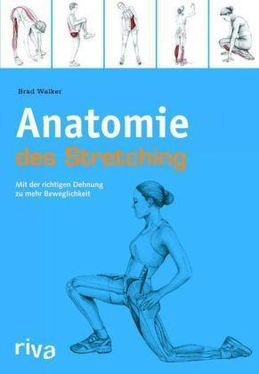 Anatomie des Stretching Mit der richtigen Dehnung zu mehr Beweglichkeit