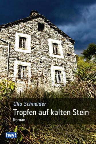Tropfen auf kalten Stein Roman