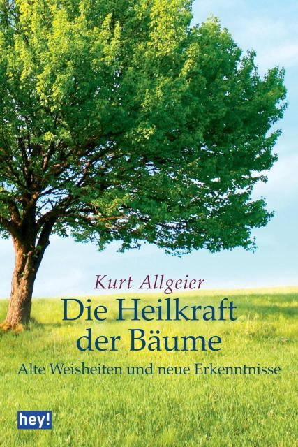 Die Heilkraft der Bäume Alte Weisheiten und neue Erkenntnisse