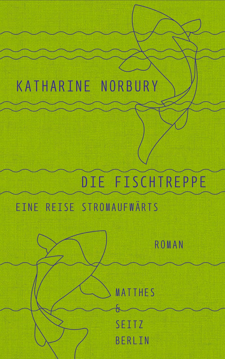 Die Fischtreppe Eine Reise flussaufwärts