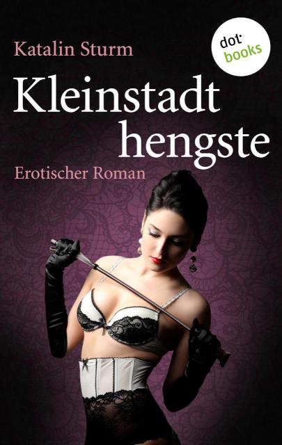 Kleinstadthengste Erotischer Roman