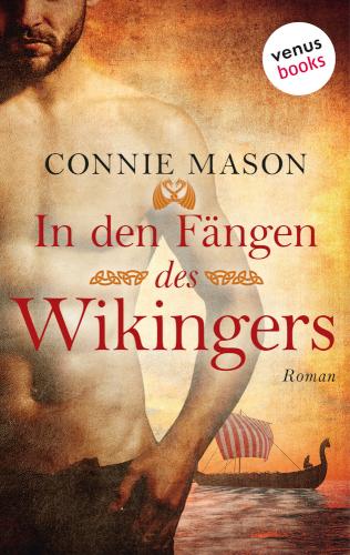 In den Fängen des Wikingers Roman