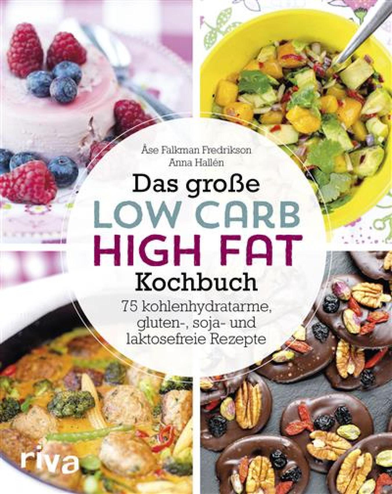 Das große Low-Carb-High-Fat-Kochbuch Über 60 kohlenhydratarme, gluten-, soja-, und laktosefreie Rezepte