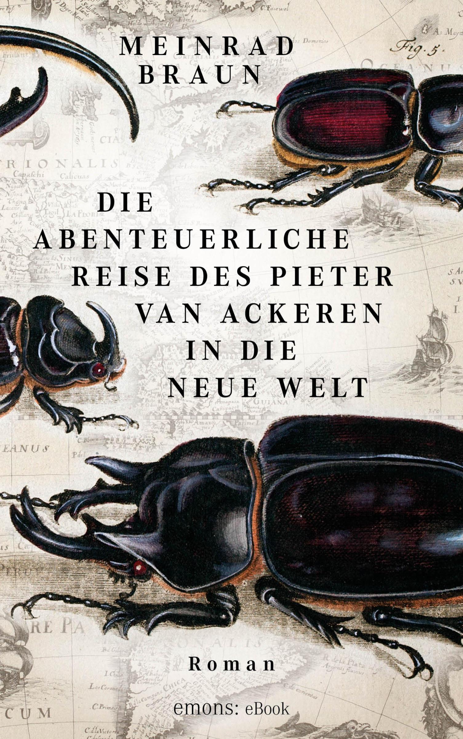 Die abenteuerliche Reise des Pieter van Ackeren in die neue Welt Roman